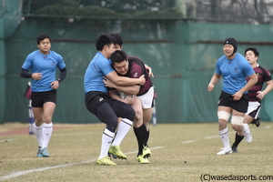 荒ぶる は次の世代へ 早稲田スポーツ